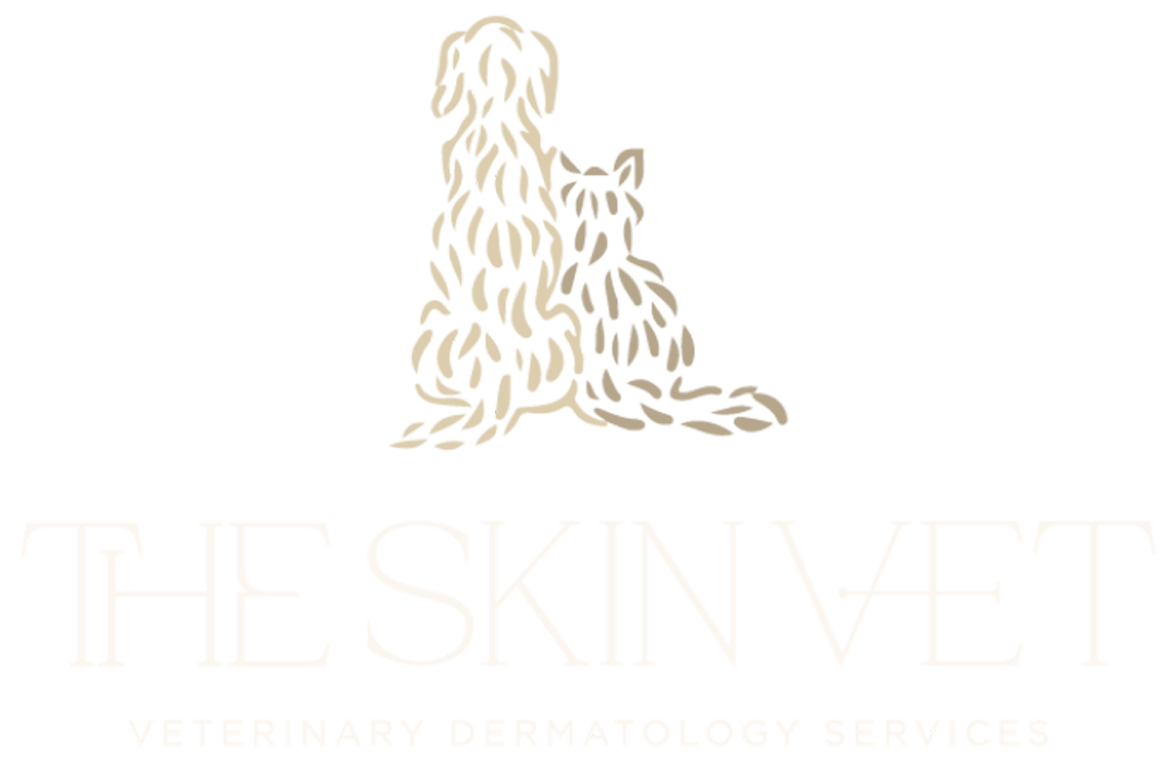 best veterinary dermatology clinic the skin vet